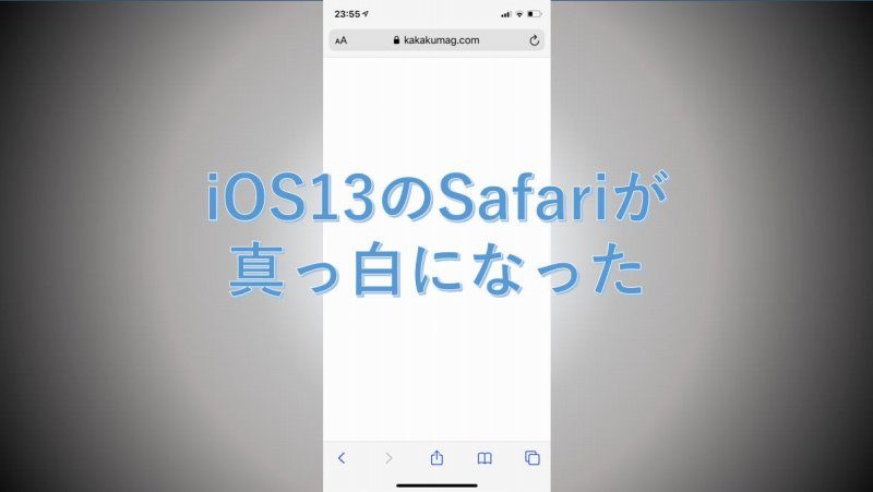 Ios13でsafariが真っ白になった時の解決方法 ケース研